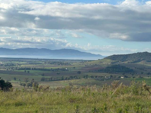 Terreno in vendita a Neghelli, Orbetello