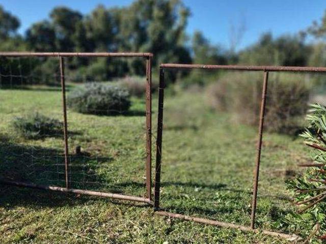 Terreno in vendita a Quattro Strade, Orbetello