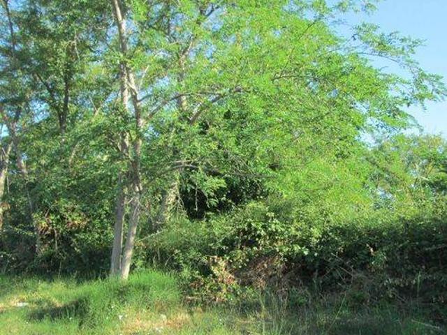 Terreno in vendita a Albinia, Orbetello