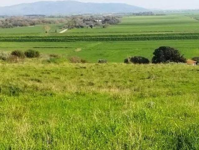 Terreno in vendita a Orbetello, Toscana
