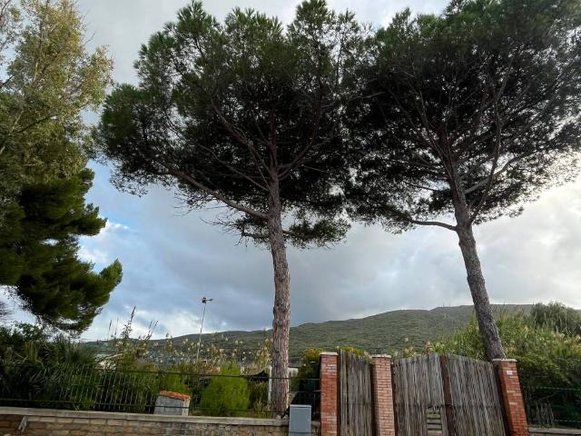 Terreno in vendita a Orbetello, Toscana
