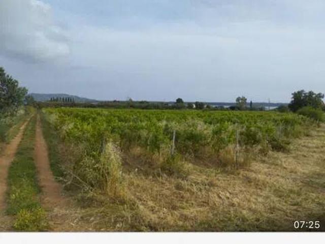 Terreno in vendita a Orbetello, Toscana