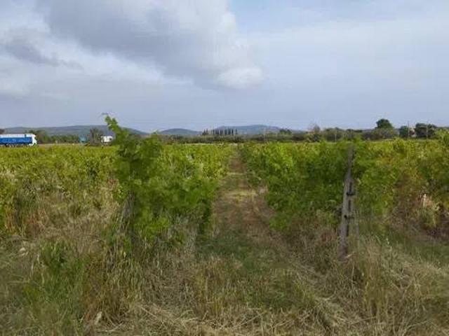 Terreno in vendita a Orbetello, Toscana
