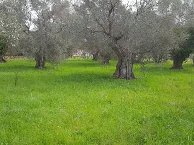 Terreno in vendita a Orbetello, Toscana