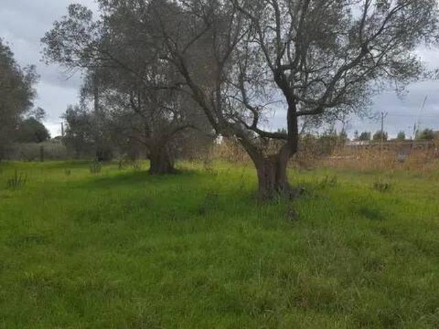Terreno in vendita a Orbetello, Toscana