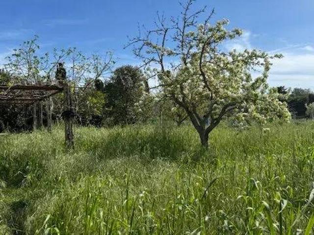 Terreno in vendita a Orbetello, Toscana