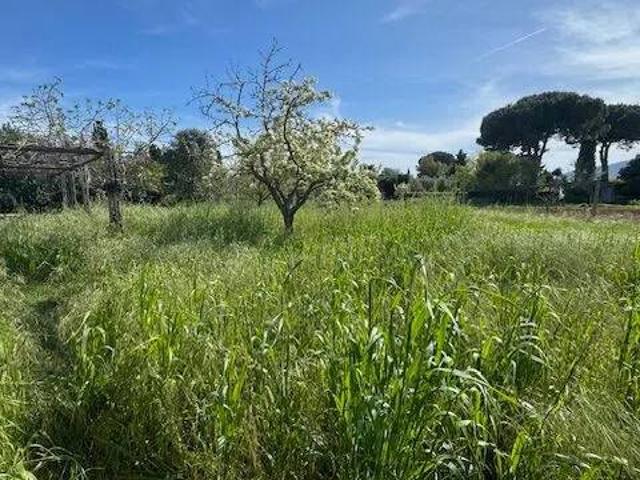Terreno in vendita a Orbetello, Toscana