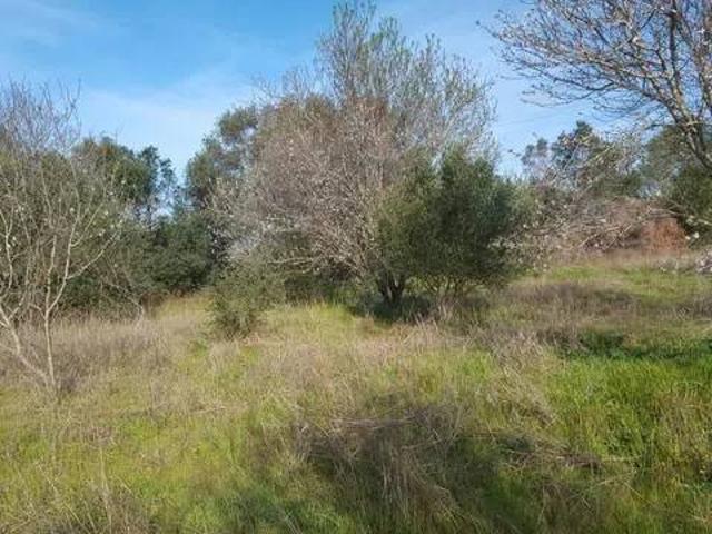 Terreno in vendita a Orbetello, Toscana