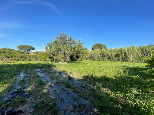 Terreno in vendita a Provinca, Orbetello