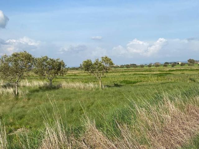 Terreno in vendita a Orbetello, Toscana