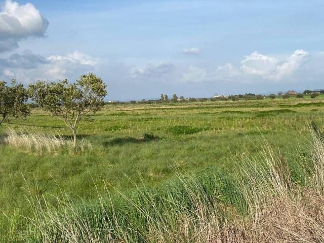 Terreno in vendita a Orbetello, Toscana
