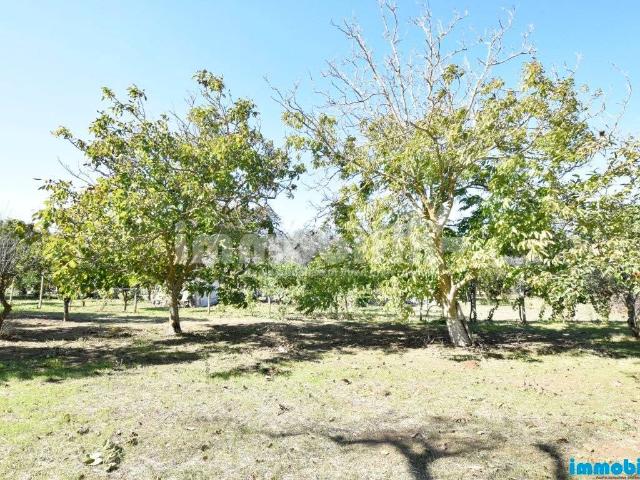 Terreno in vendita a Oria, Brindisi