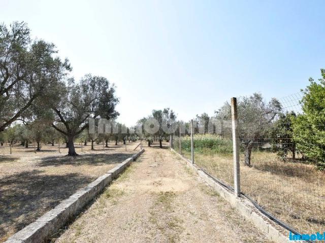 Terreno in vendita a Quartiere ebraico, Puglia