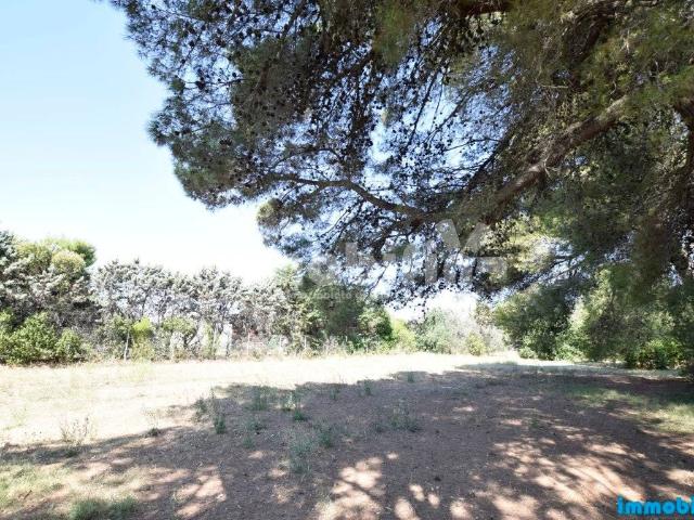 Terreno in vendita a Puglia, Brindisi