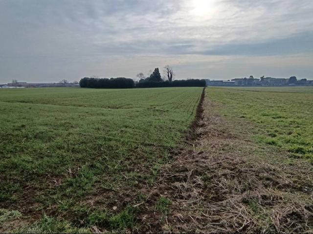 Terreno in vendita a Villa Regina, Origgio