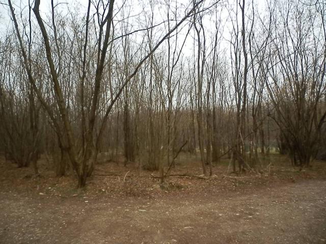 Terreno in vendita a Origgio, Lombardia