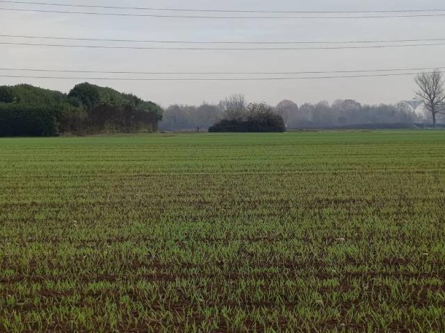 Terreno in vendita a Origgio, Lombardia
