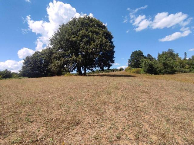 Terreno in vendita a Oriolo Romano, Lazio