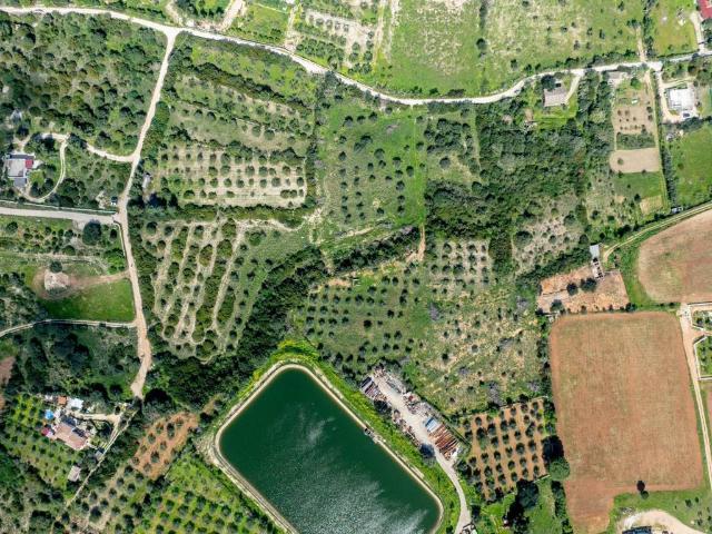 Terreno in vendita a Orosei, Sardigna/Sardegna