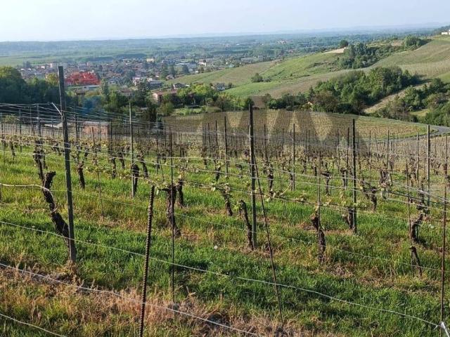 Terreno in vendita a Piemonte, Alessandria