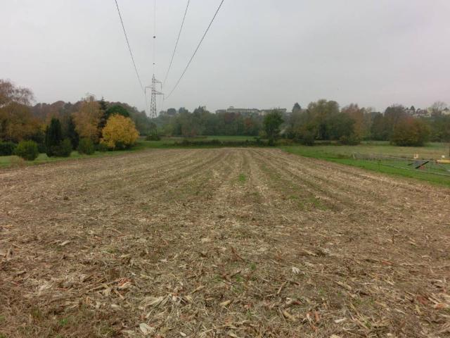 Terreno in vendita a Orsenigo, Lombardia