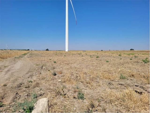 Terreno in vendita a Puglia, Foggia