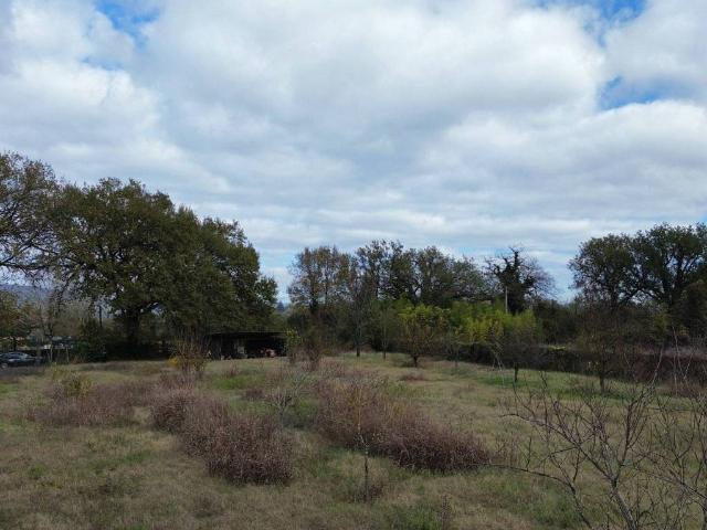 Terreno in vendita a Orte, Lazio