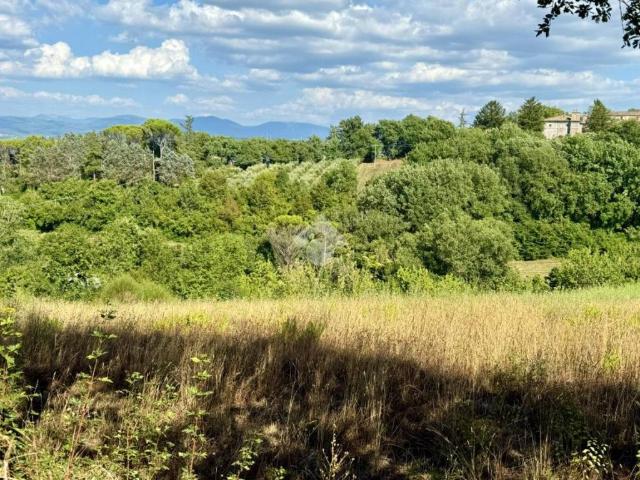 Terreno in vendita a Petignano, Orte