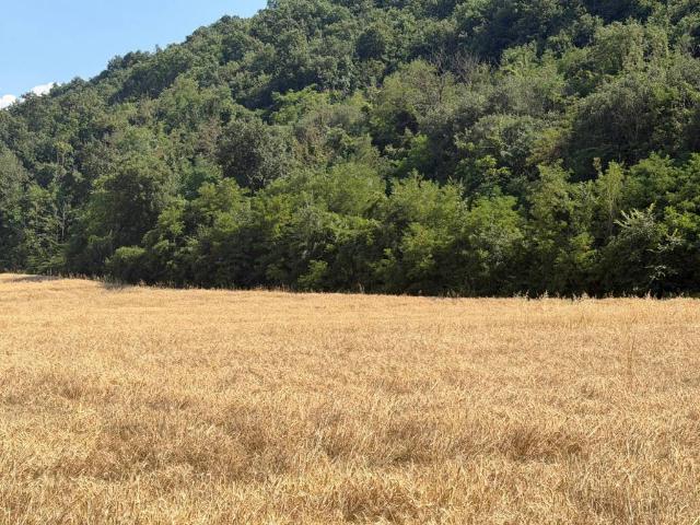 Terreno in vendita a Orte, Lazio