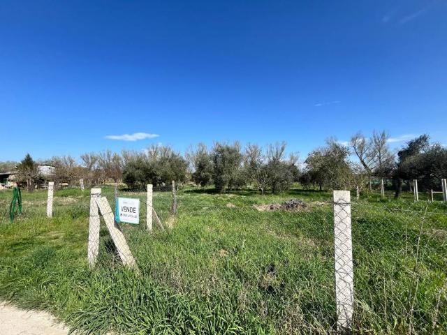 Terreno in vendita a Orte, Lazio