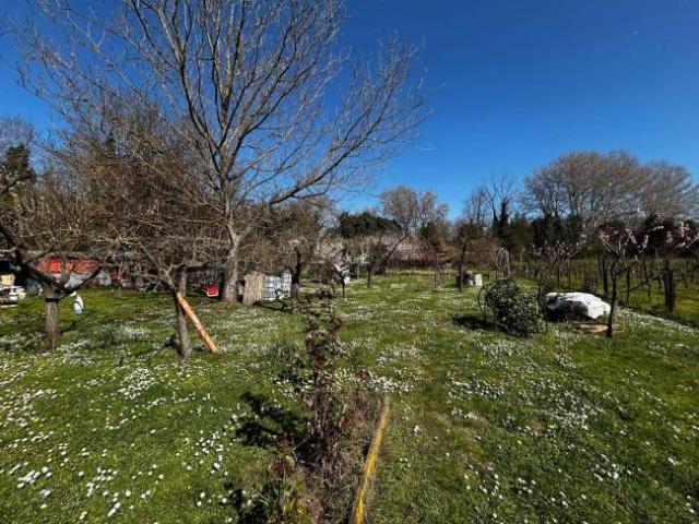 Terreno in vendita a Petignano, Orte