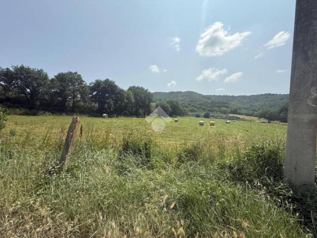 Terreno in vendita a Orte, Lazio