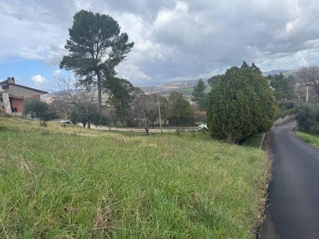 Terreno in vendita a Orte, Lazio