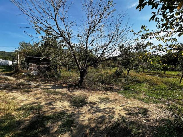 Terreno in vendita a Petignano, Orte