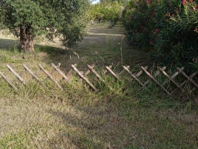 Terreno in vendita a Orte, Lazio