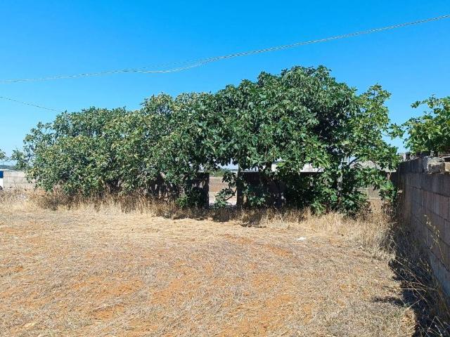 Terreno in vendita a Puglia, Lecce