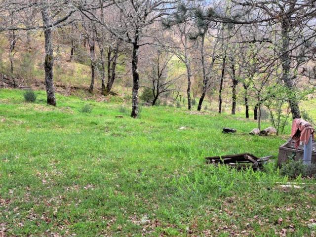 Terreno in vendita a Sambrona, Poppi