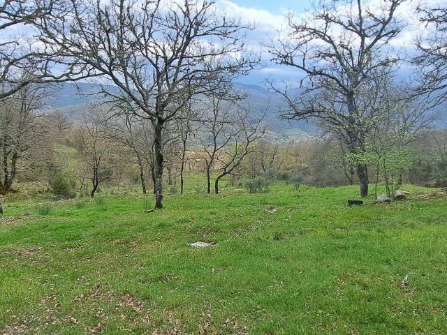 Terreno in vendita a Sambrona, Poppi