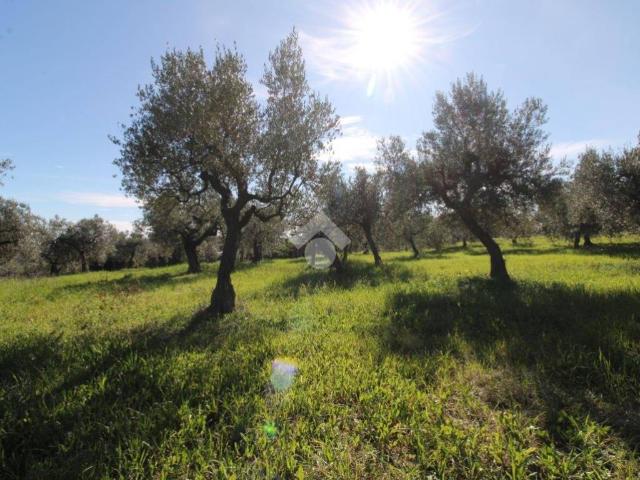 Terreno in vendita a Gagliarda Bassa, Ortona