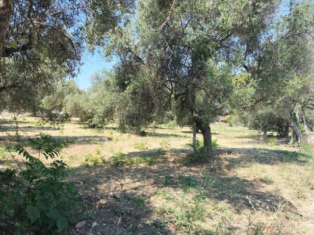 Terreno in vendita a Santa Liberata, Ortona