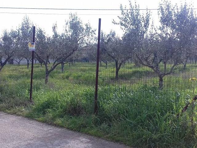Terreno in vendita a Ortona, Abruzzo