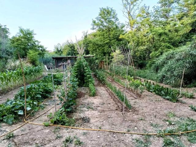 Terreno in vendita a Fossato, Ortona
