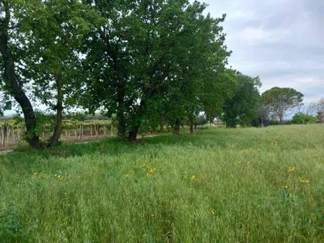 Terreno in vendita a Fossato, Ortona