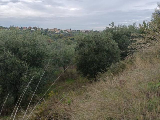 Terreno in vendita a Villa San Tommaso, Ortona