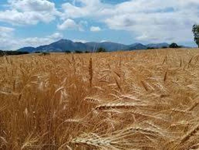 Terreno in vendita a Orvieto, Umbria