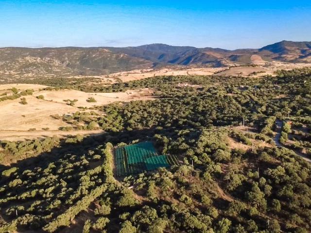 Terreno in vendita a Oschiri, Sardigna/Sardegna