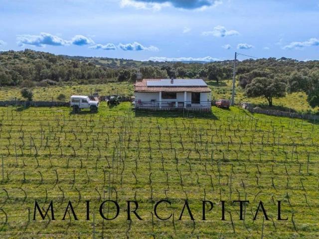 Terreno in vendita a Oschiri, Sardigna/Sardegna