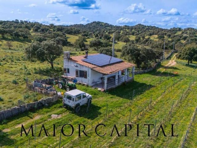 Terreno in vendita a Oschiri, Sardigna/Sardegna