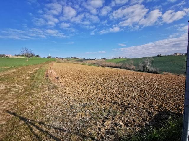 Terreno in vendita a Marche, Ancona