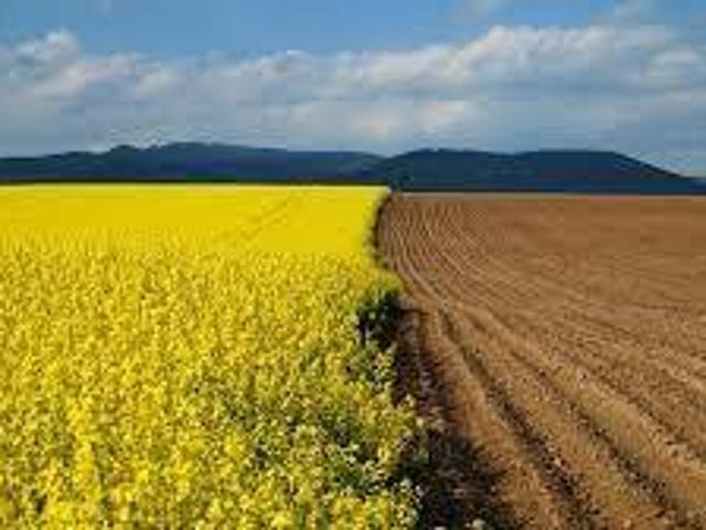 Terreno in vendita a Ostellato, Reggio Emilia
